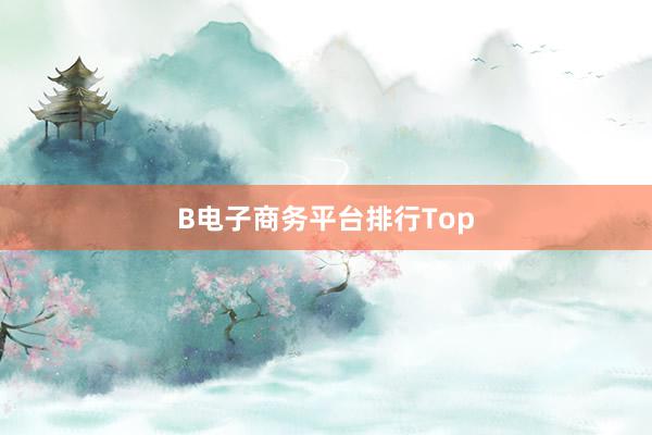 B电子商务平台排行Top