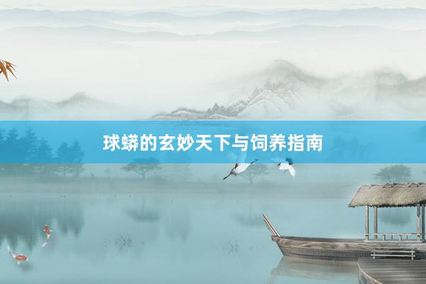 球蟒的玄妙天下与饲养指南
